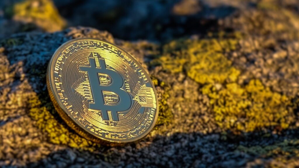 bitcoin, moneda, finanzas, moneda, cripto, criptomonedas, finanzas marrones, cripto, cripto, cripto, cripto, cripto, criptomonedas, criptomonedas, criptomonedas, criptomonedas