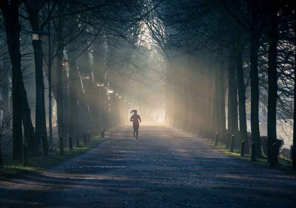 Una persona trotando a lo largo de un camino de niebla bordeado de árboles en un parque durante el amanecer.